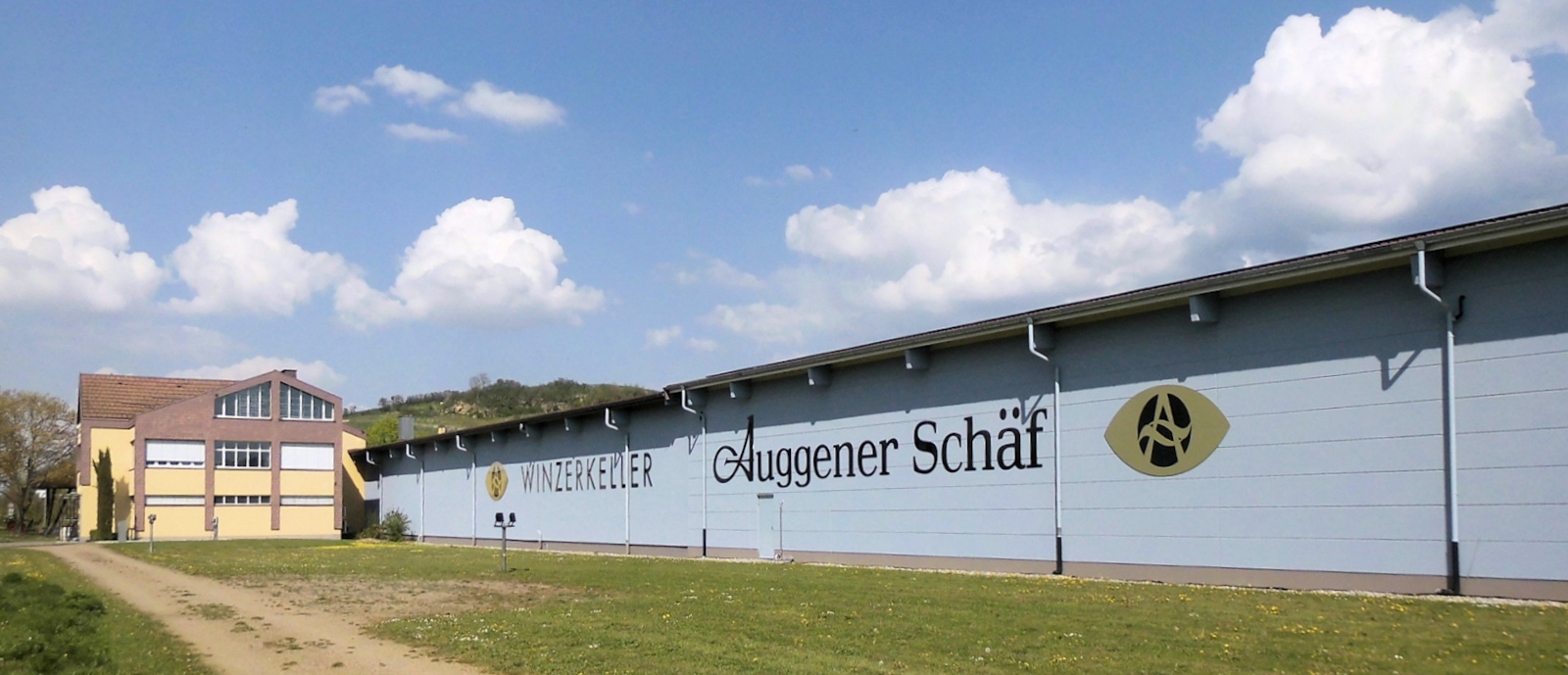 Winzerkeller Auggener Schäf